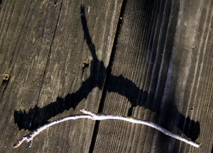 the divining rod and it's shadow